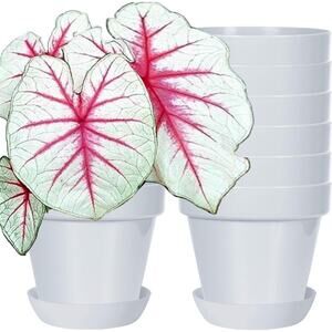 Youngever 7 Pack 6.5" Plastic Plant Pots with Saucers Grey NIB